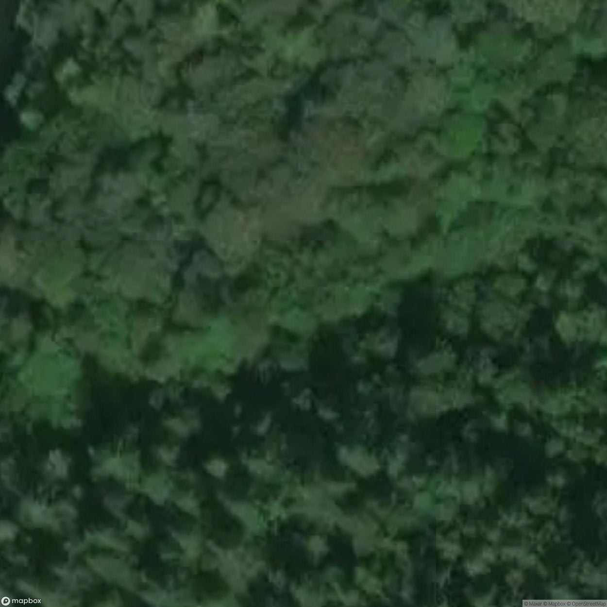 Neidpath Tunnel [GBR]