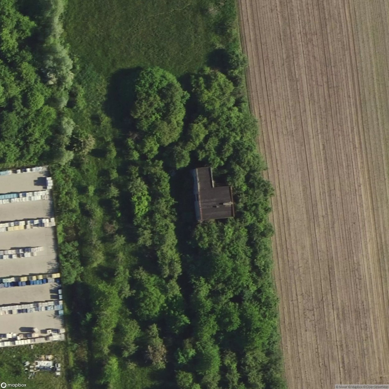 Palace Naliboksk Forest [POL] #24595