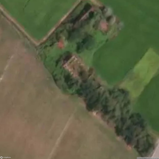 Ruins in the Forest [ITA]