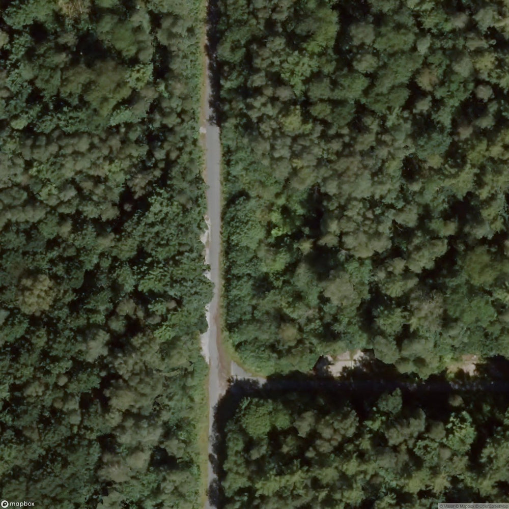 Hunxer Forest Ammunition Depot [DEU] #32315