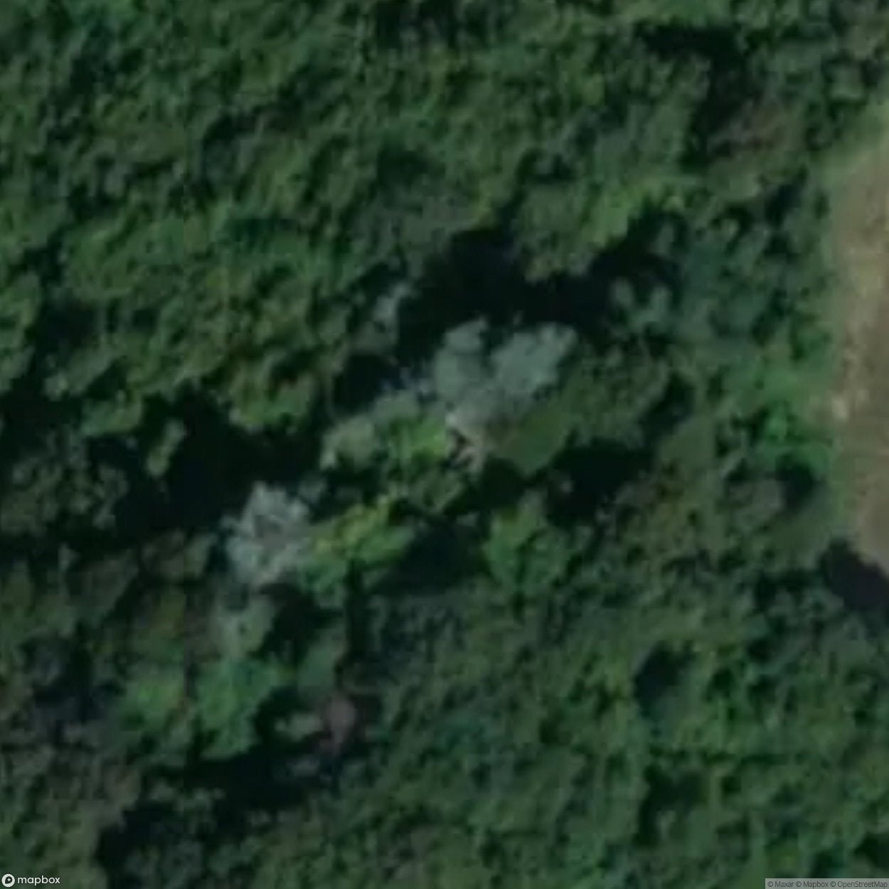 Villa Le Banzole [ITA]