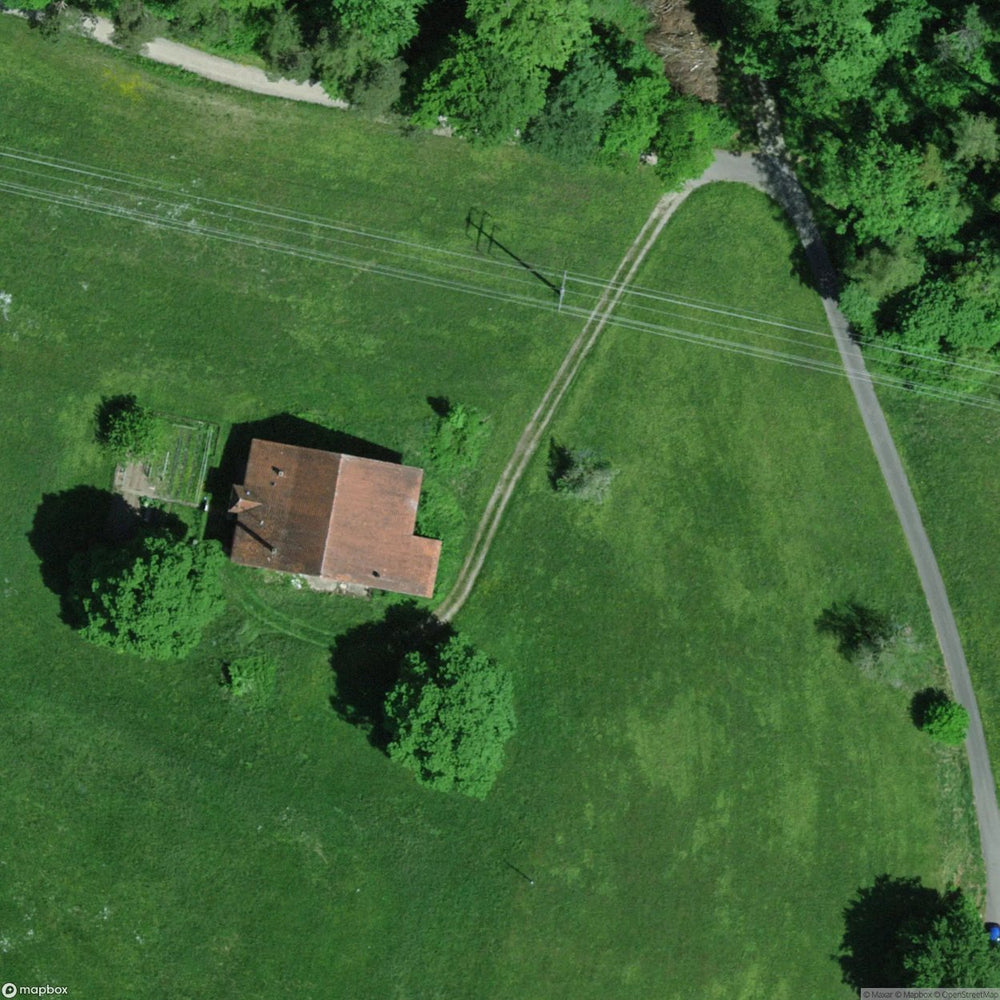 Cat Villa Elgg Zh [CHE] #33373