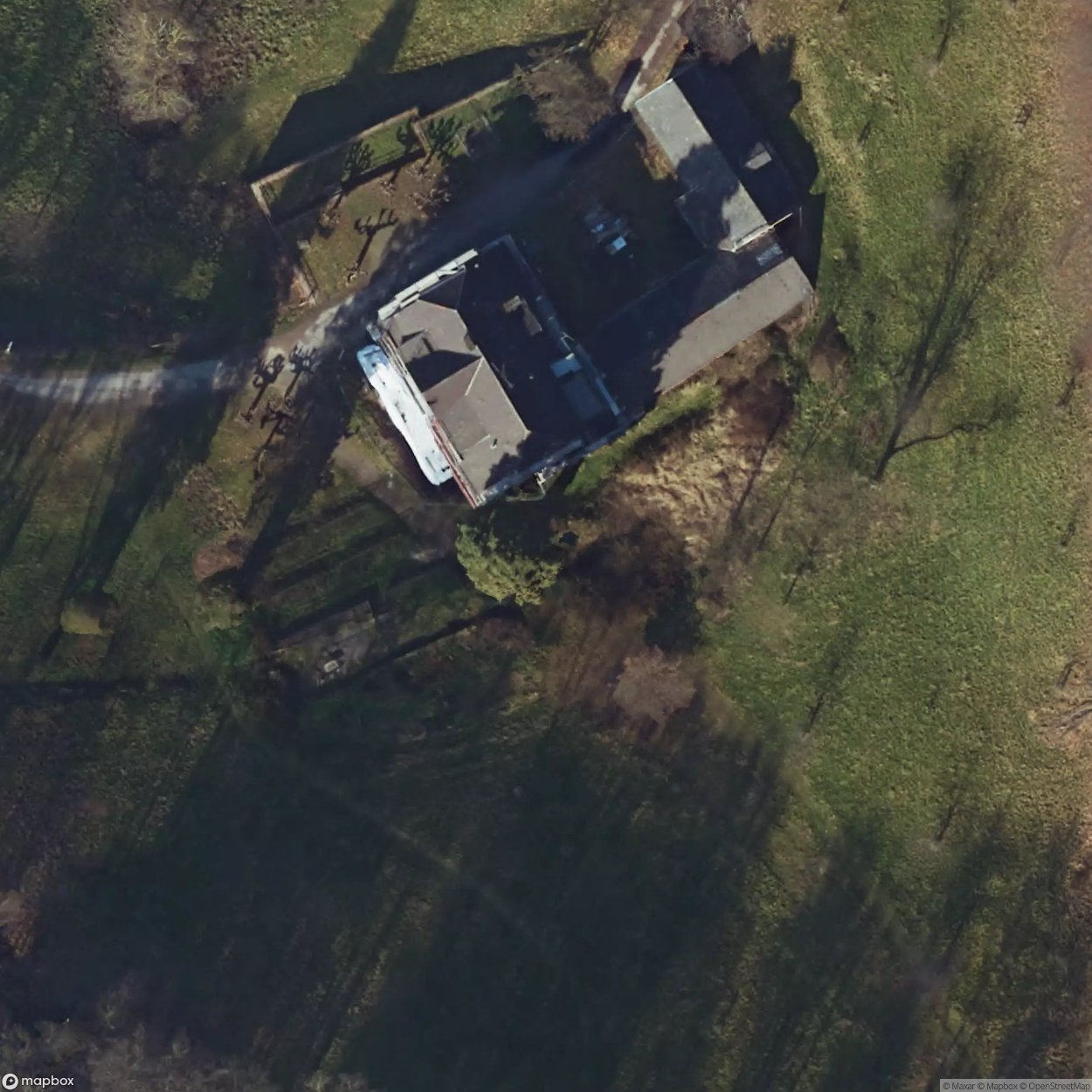 Old Mammoth Tree [DEU]