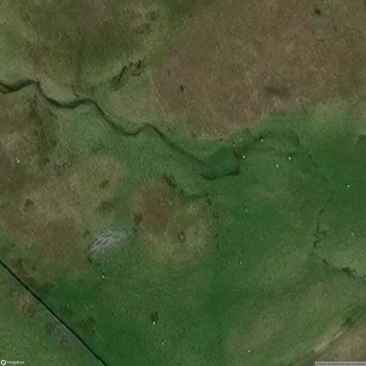 Transit Plant [GBR] #06495
