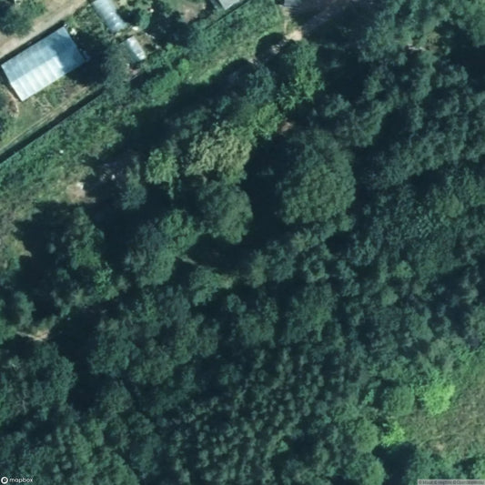 Railway Coal Line [DEU]