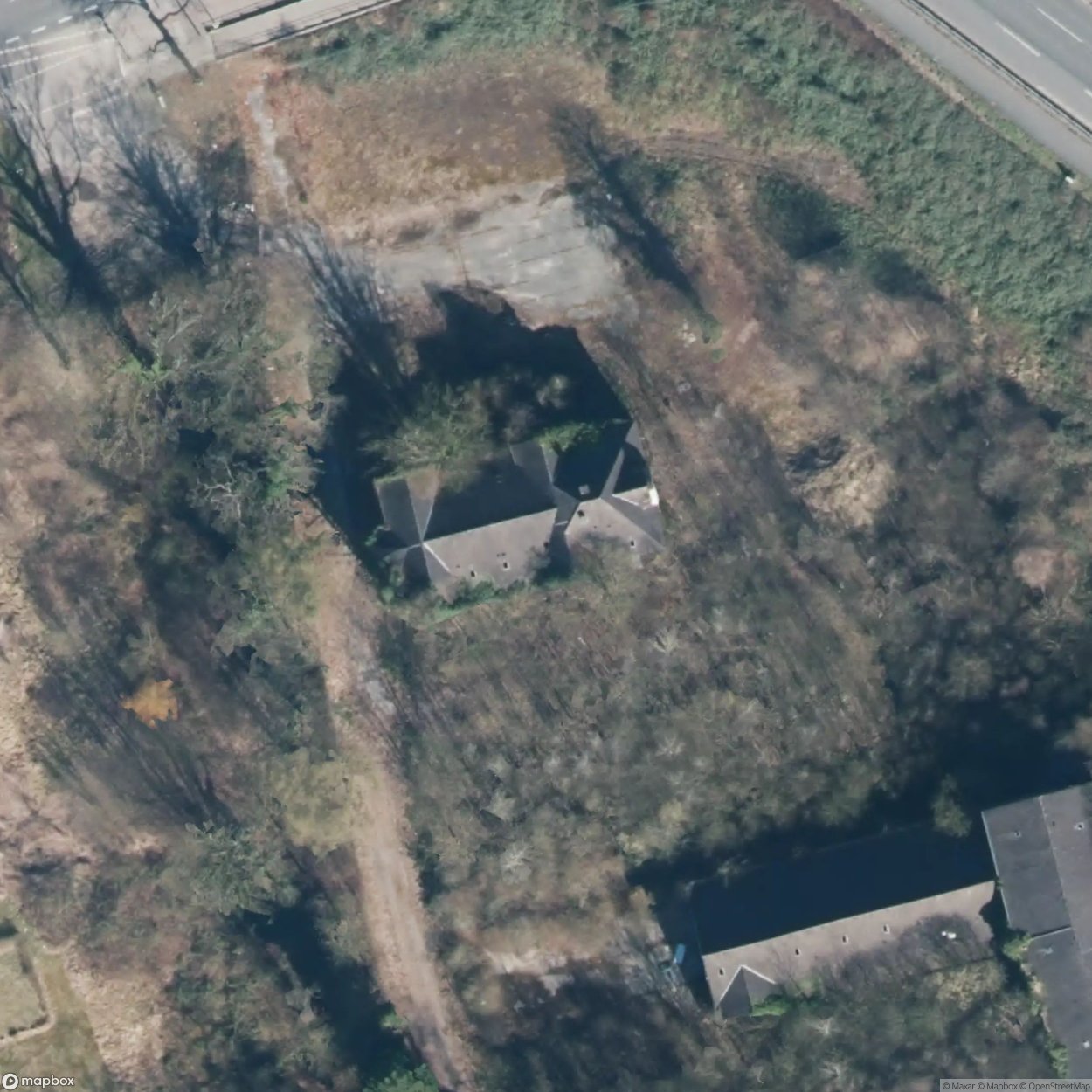 At Rombergpark A [DEU] #02035