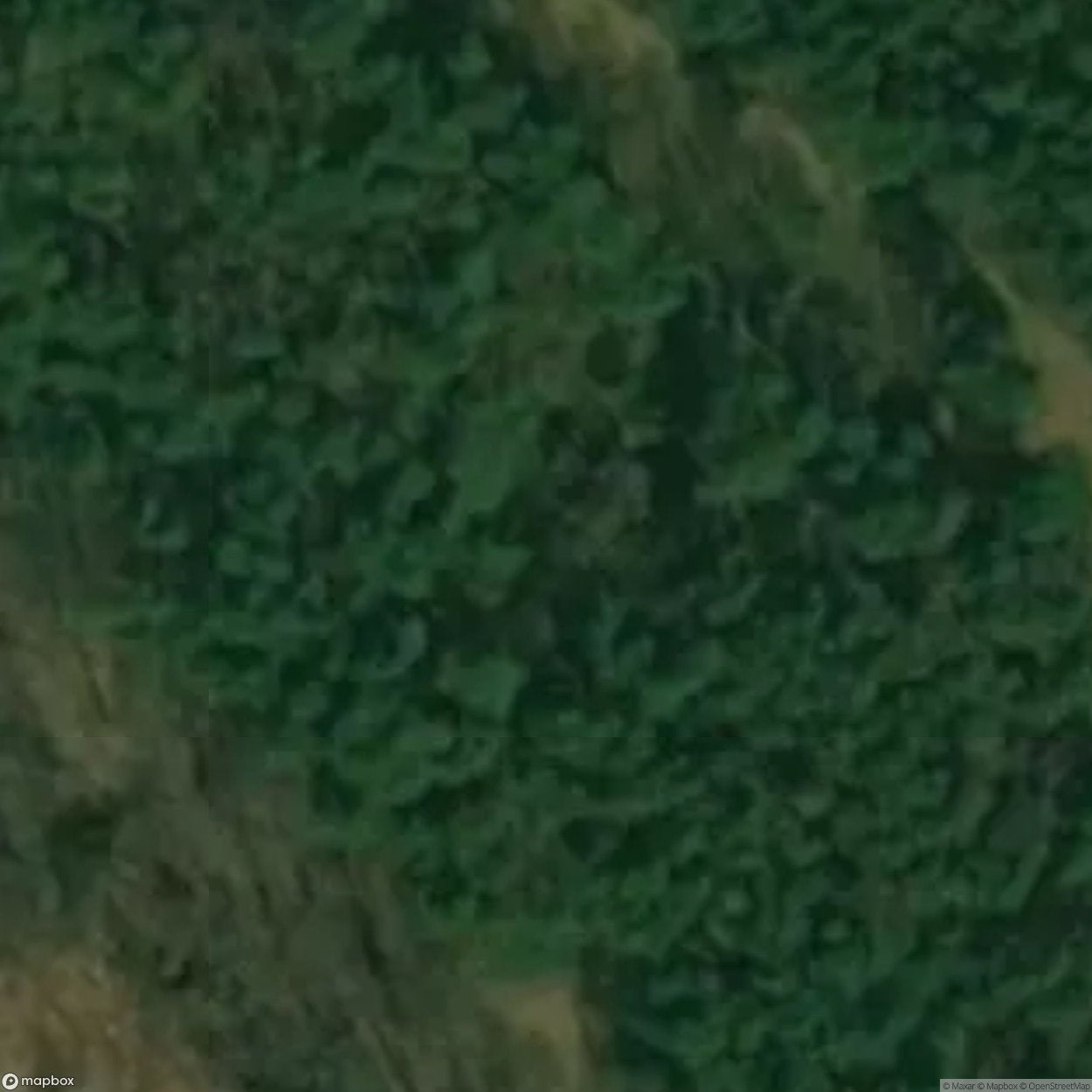 House in the woods [POL]