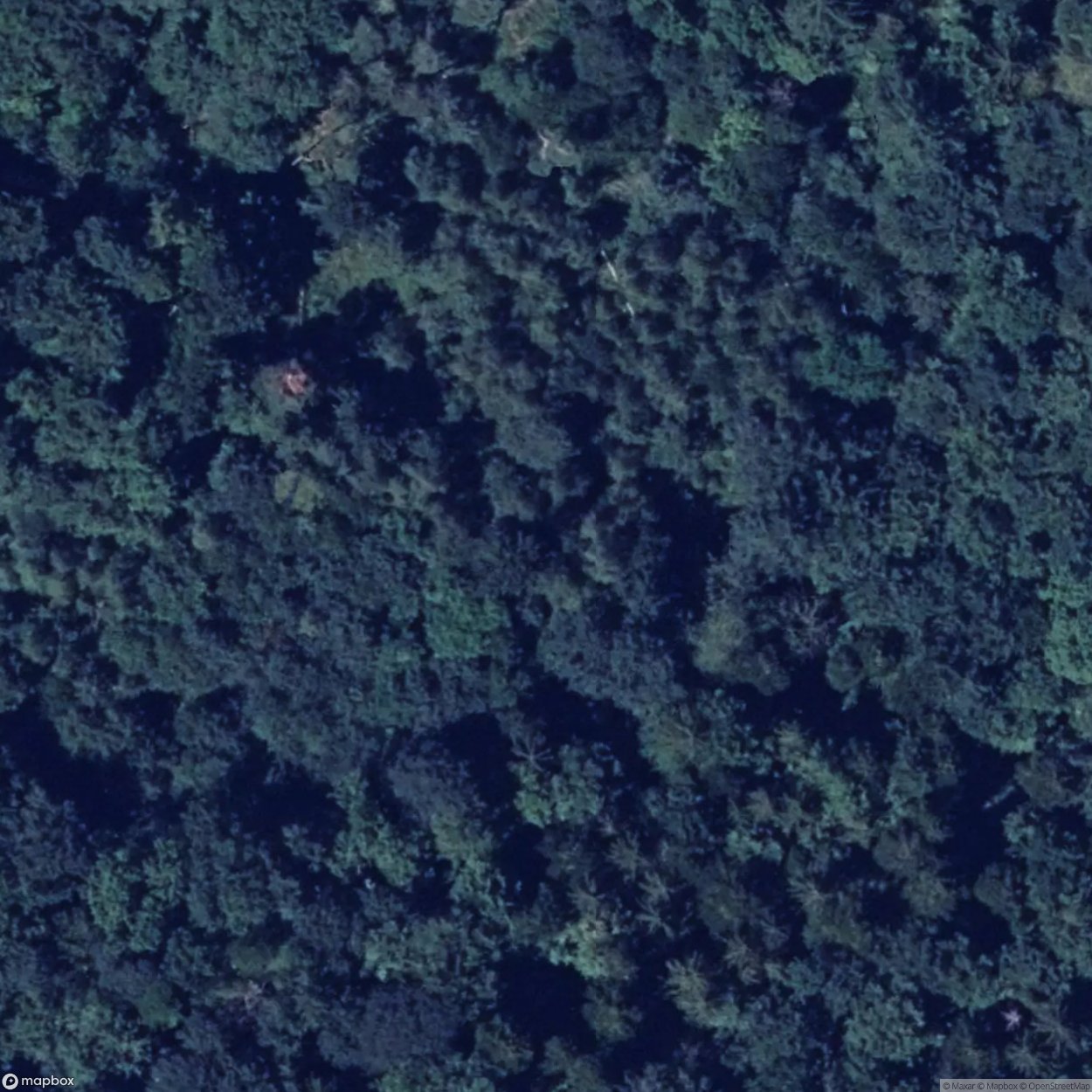 Bunker Forest 2 [DEU]