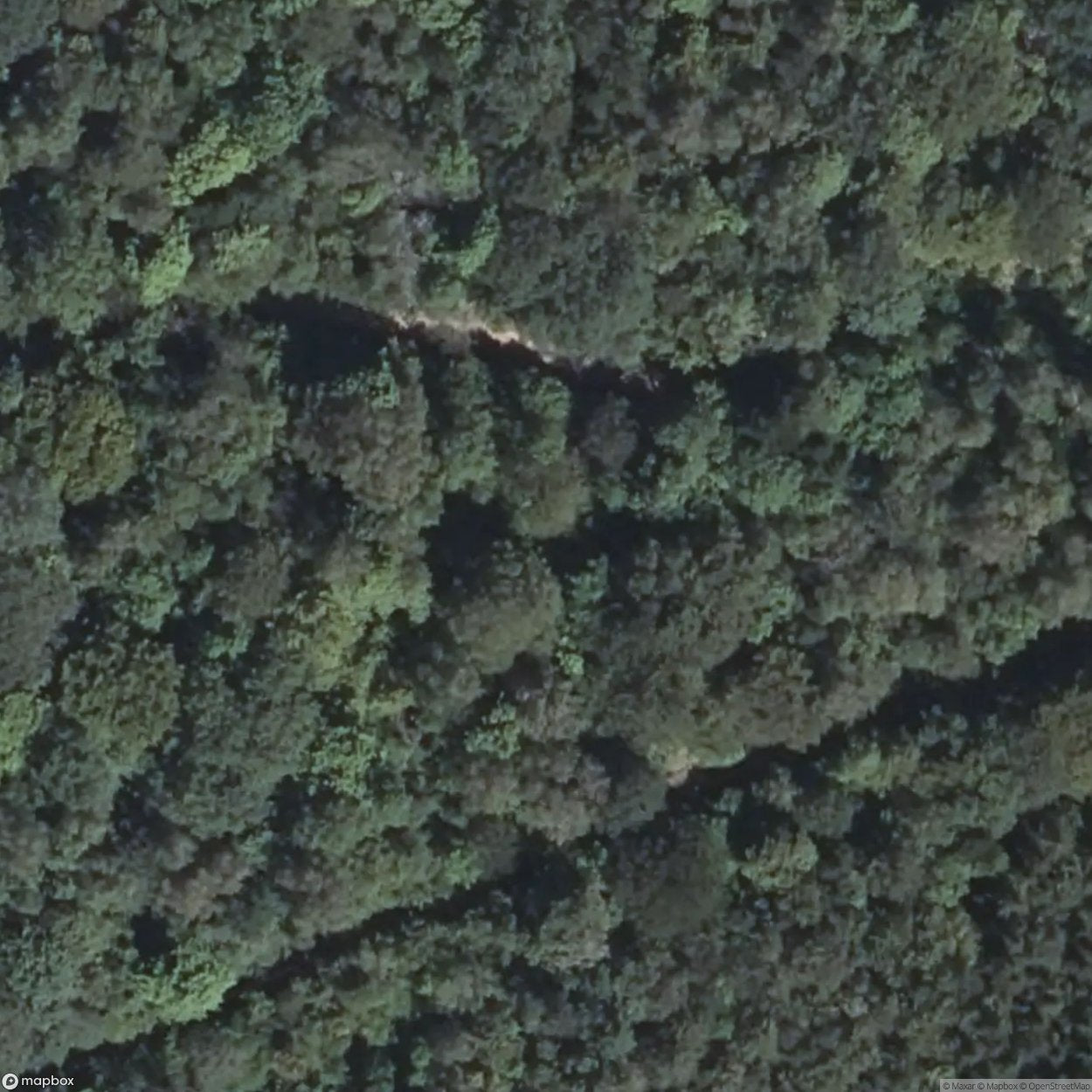 Hartmannsweilerkopf Battlefield [FRA] #16290