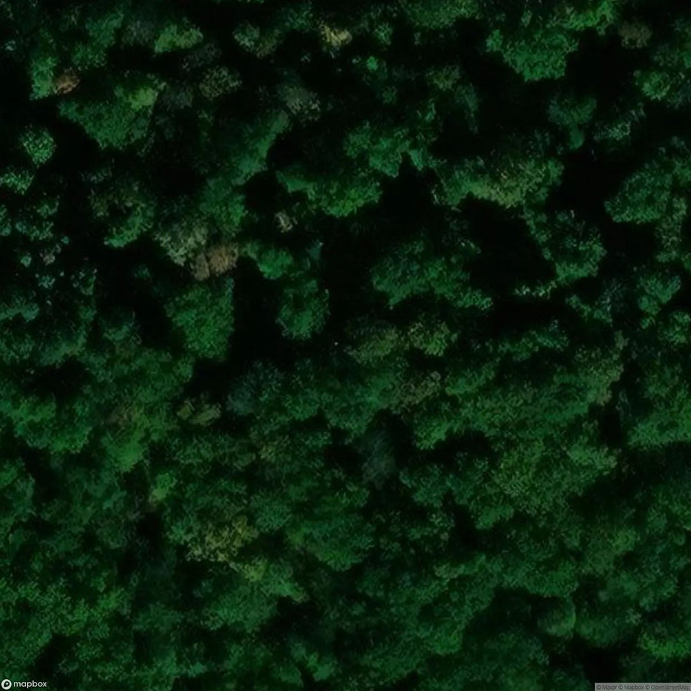 Villa Saxony [DEU] #01904