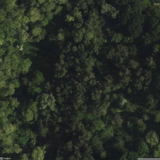 Fort Steendorp [BEL]