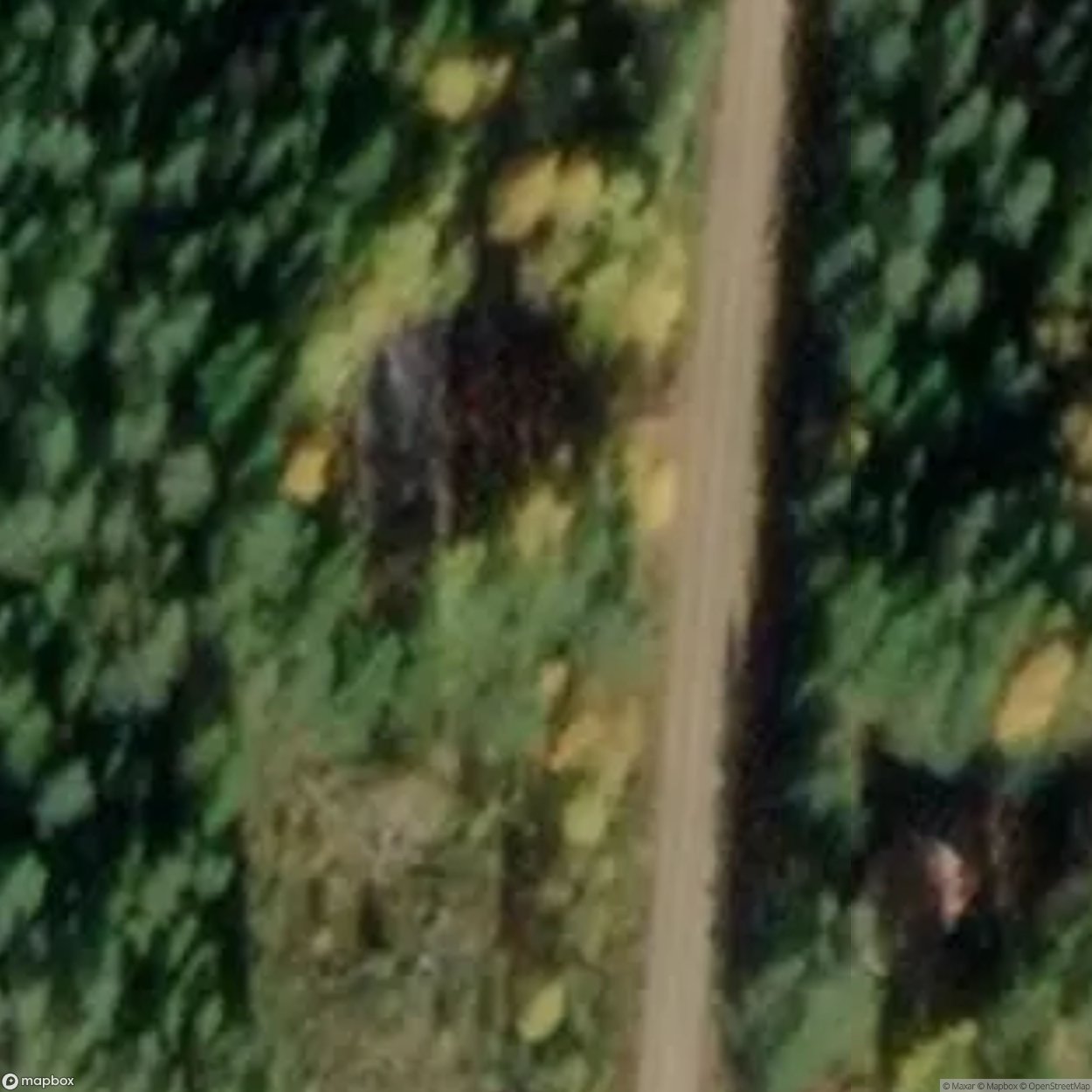 Hunting House Water [SWE]