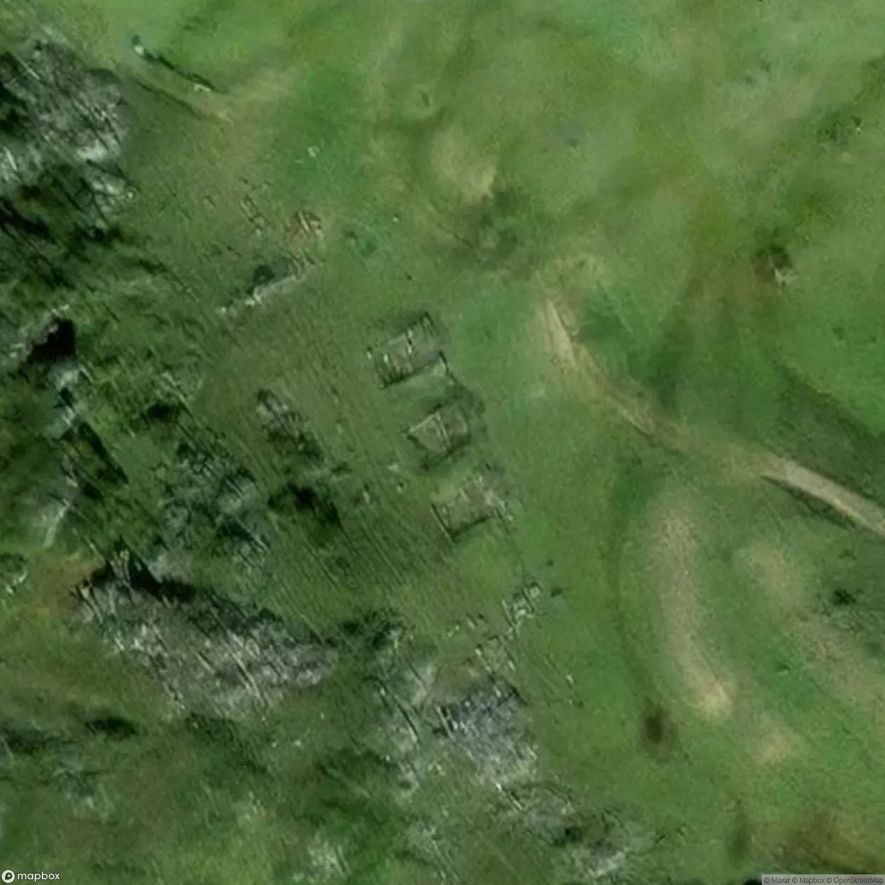 Ruins Woods [AUT] #11681