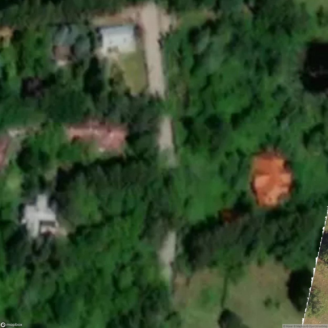 Golden Serpus Complex [POL]