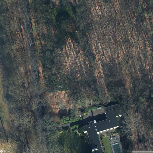 Diogenes Bunker [NLD]