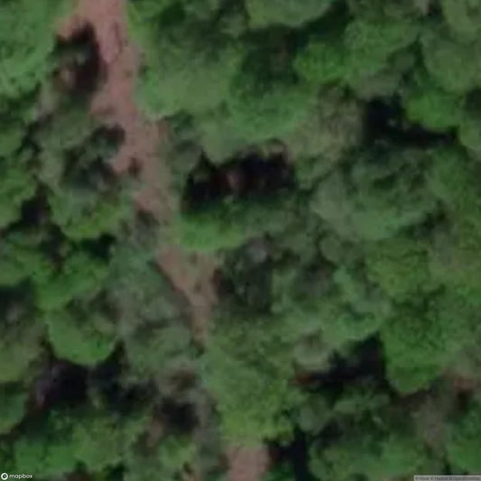 Old Speculation [GBR]