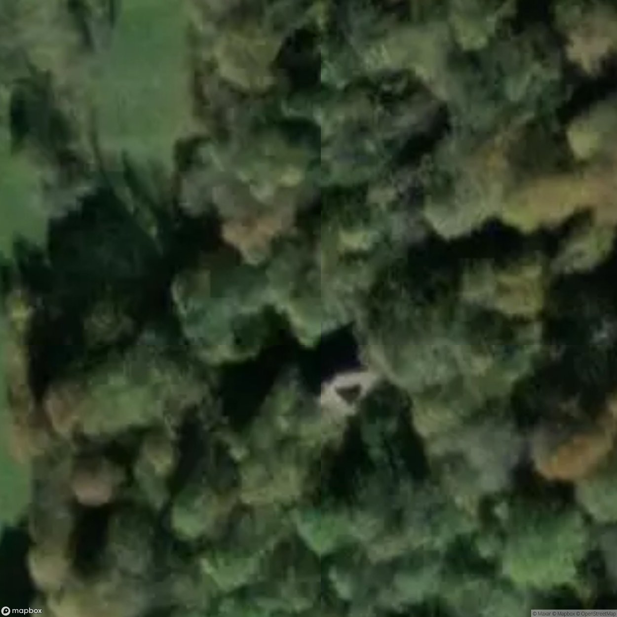 House 7 [OTHER] [AUT]