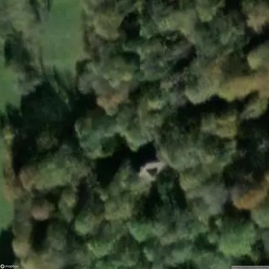 House 7 [OTHER] [AUT]