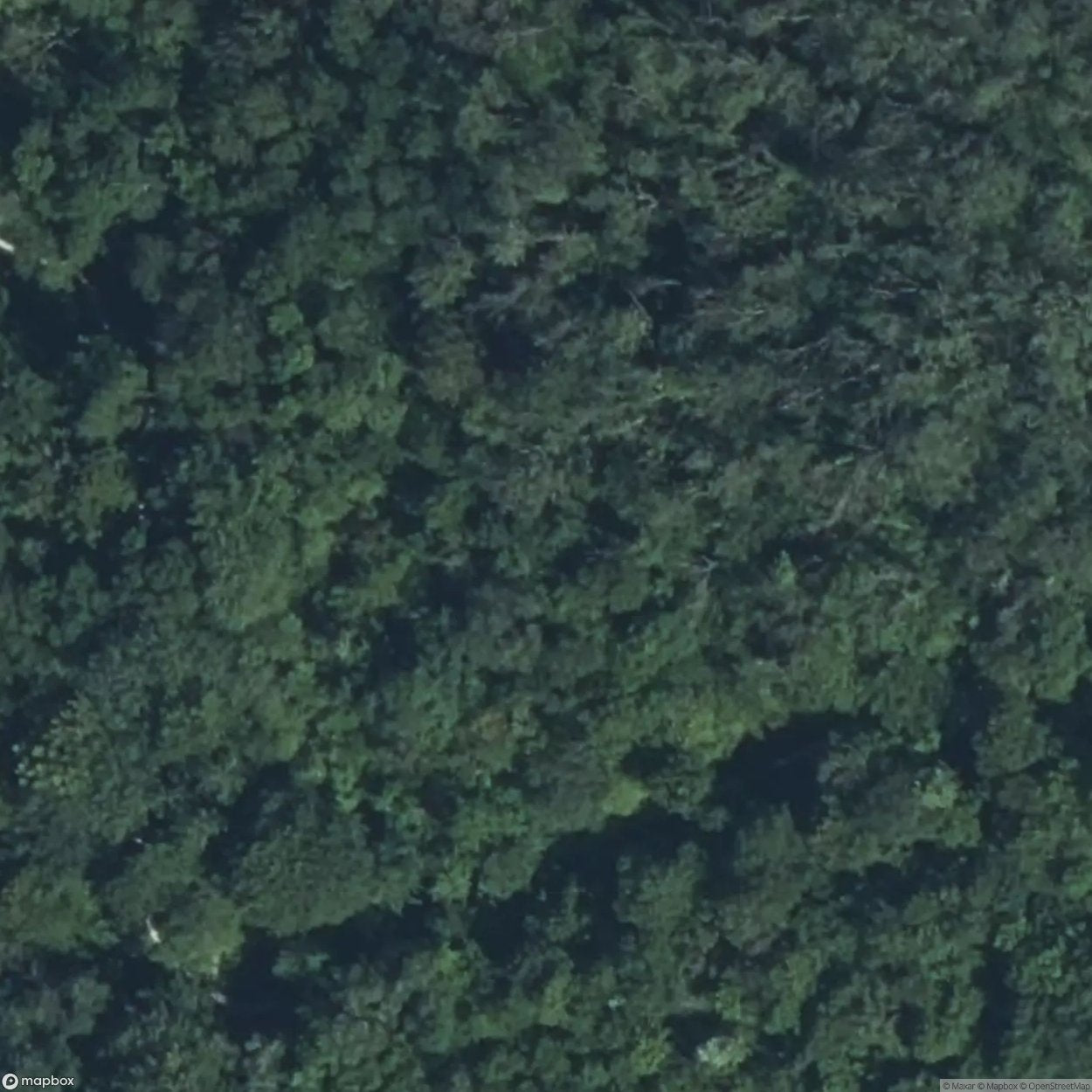 Bunker TLLO990 [FRA]