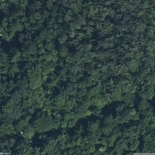 Bunker TLLO990 [FRA]