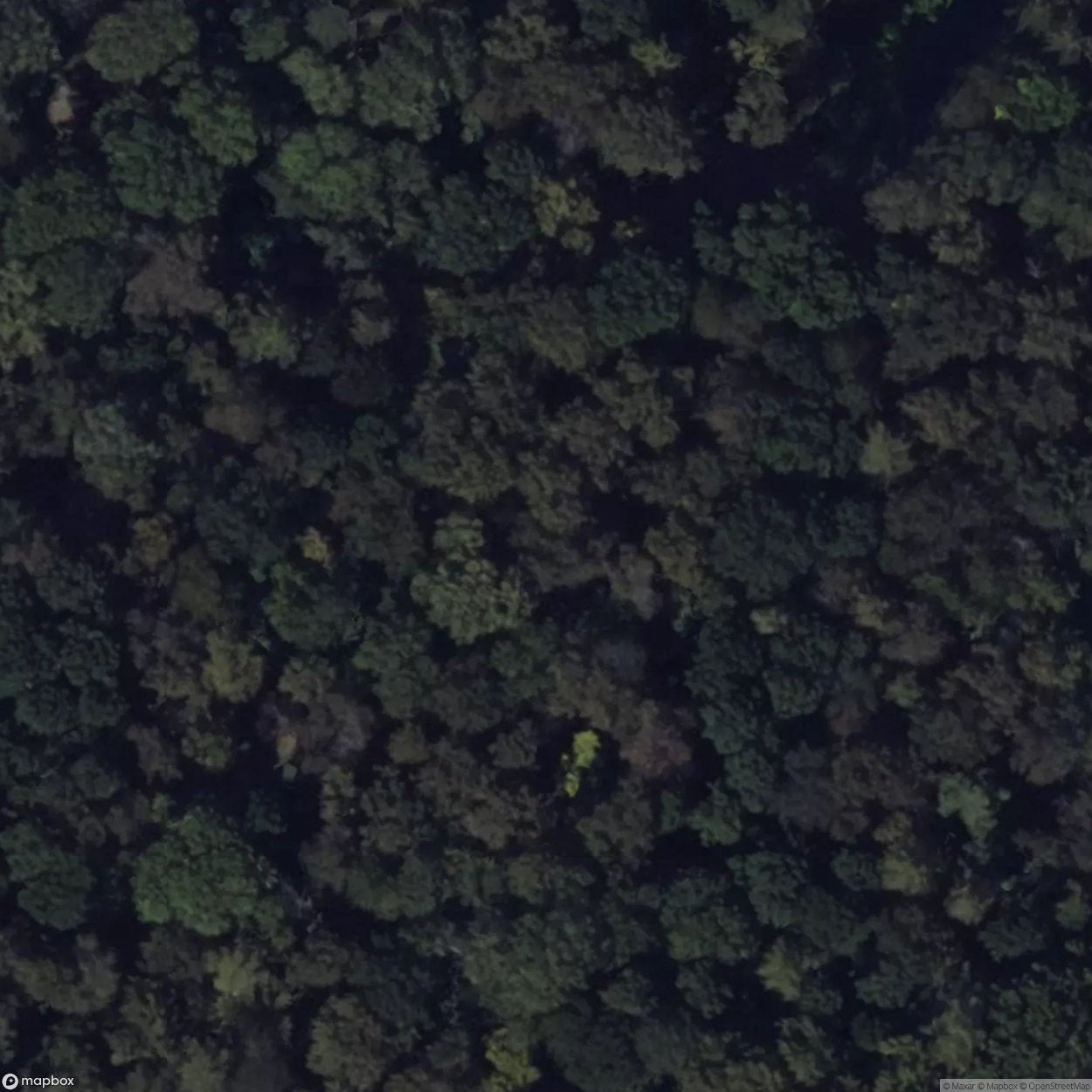 House Wandelhbmeb [DEU]