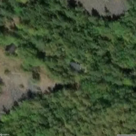 Children's Holiday Camp [DEU]