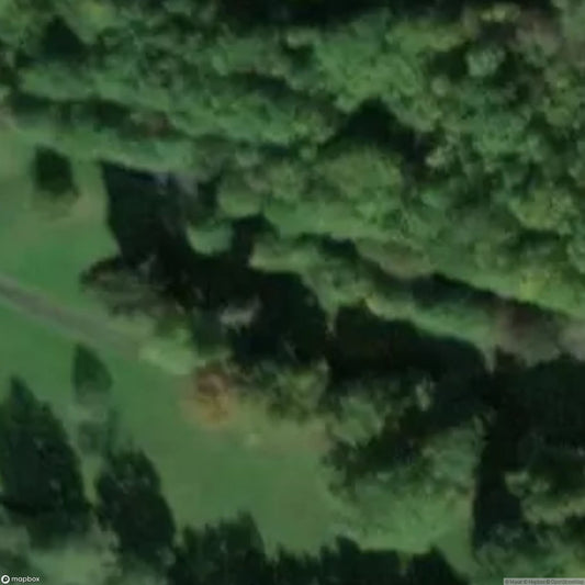 Hans Dorn Linde [DEU]