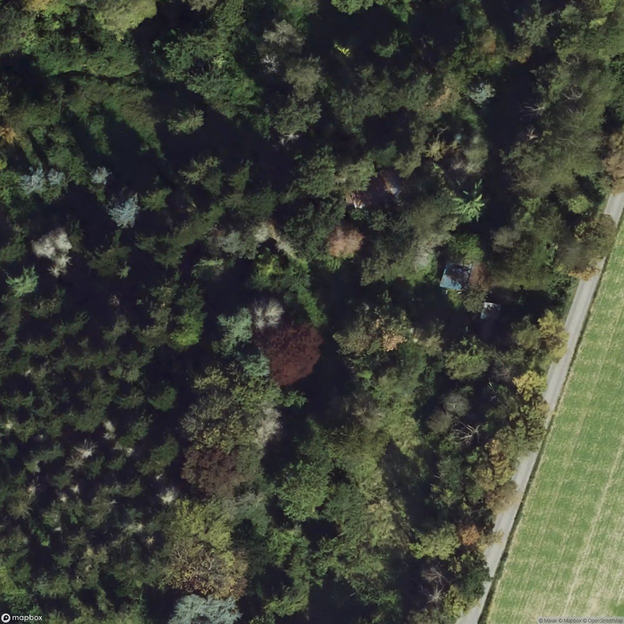 Lost Gas Station [DEU] #13350