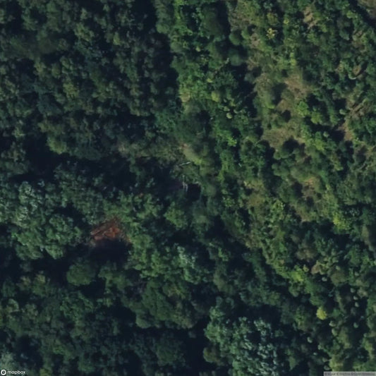 The Decepticon [GBR]