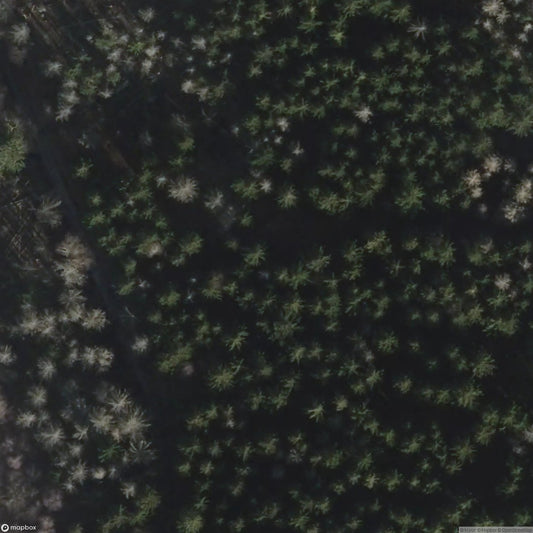 Village in the Woods [DEU]