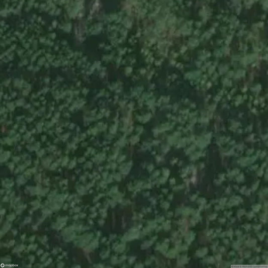 Explosives Factory [POL]