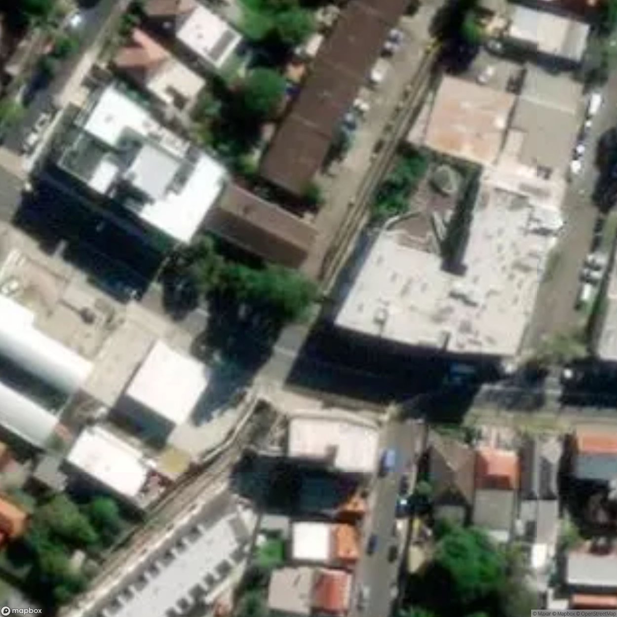 Croydon Ovuloid