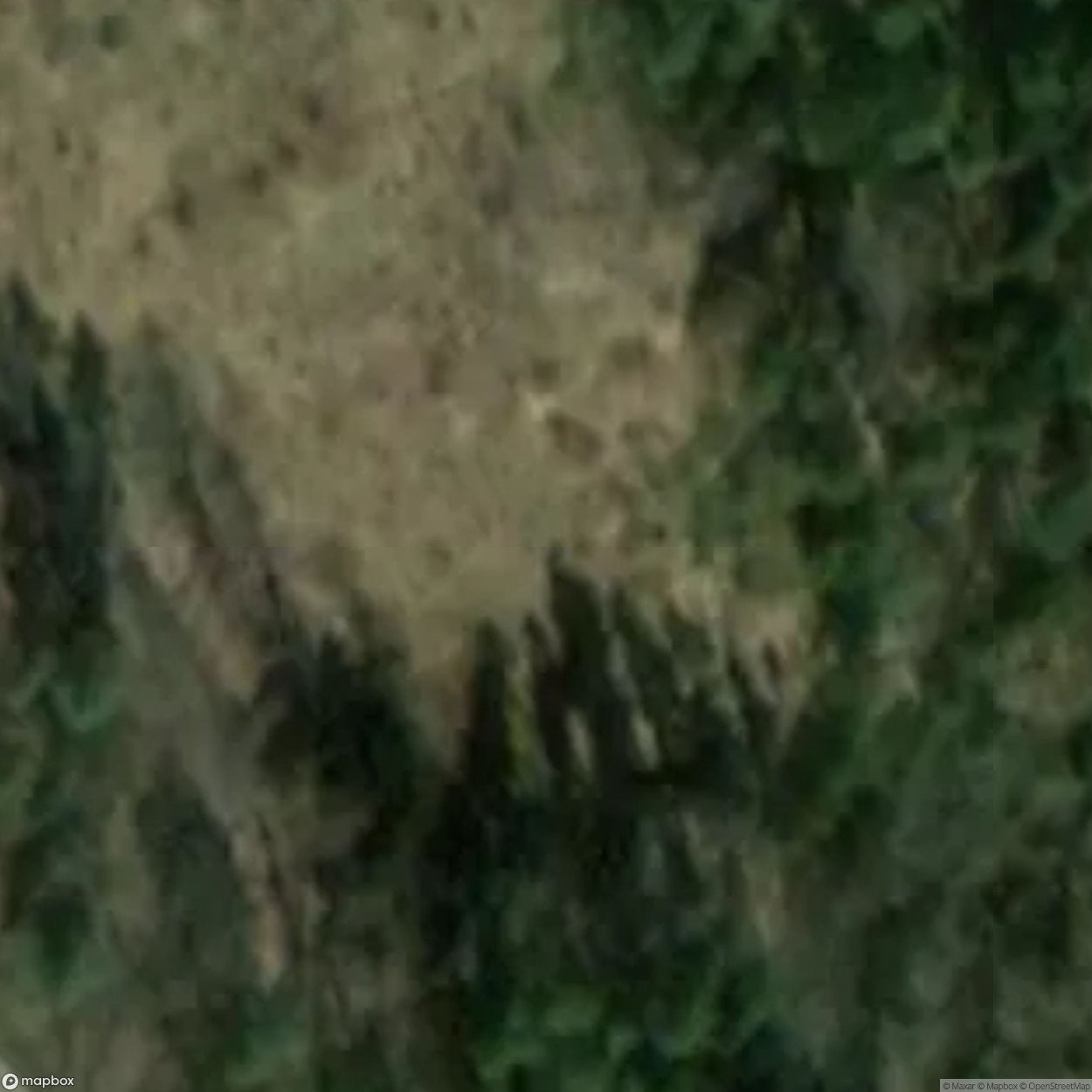 German bunkers [POL]