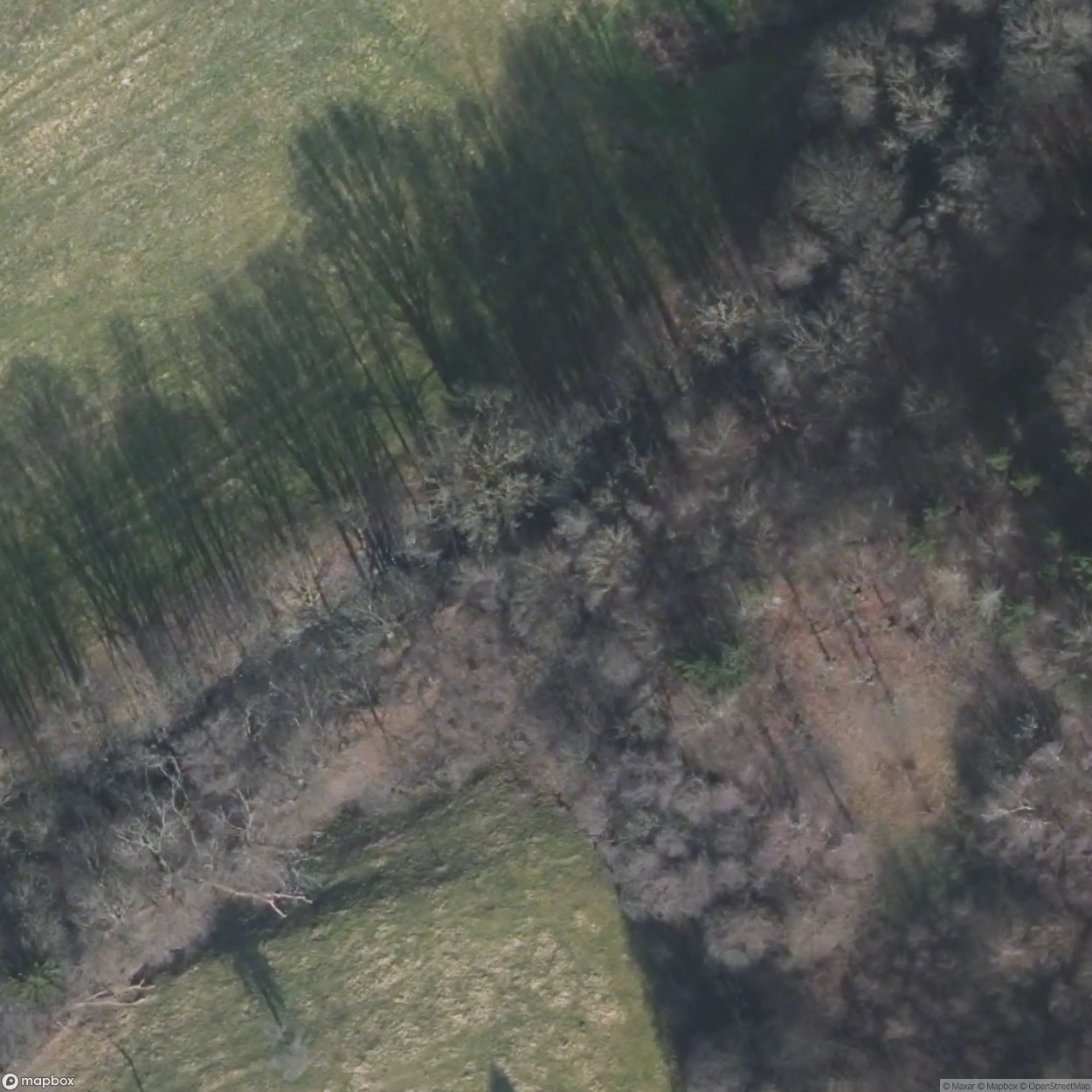 Hürtgenwald / Westwall Bunker [DEU]