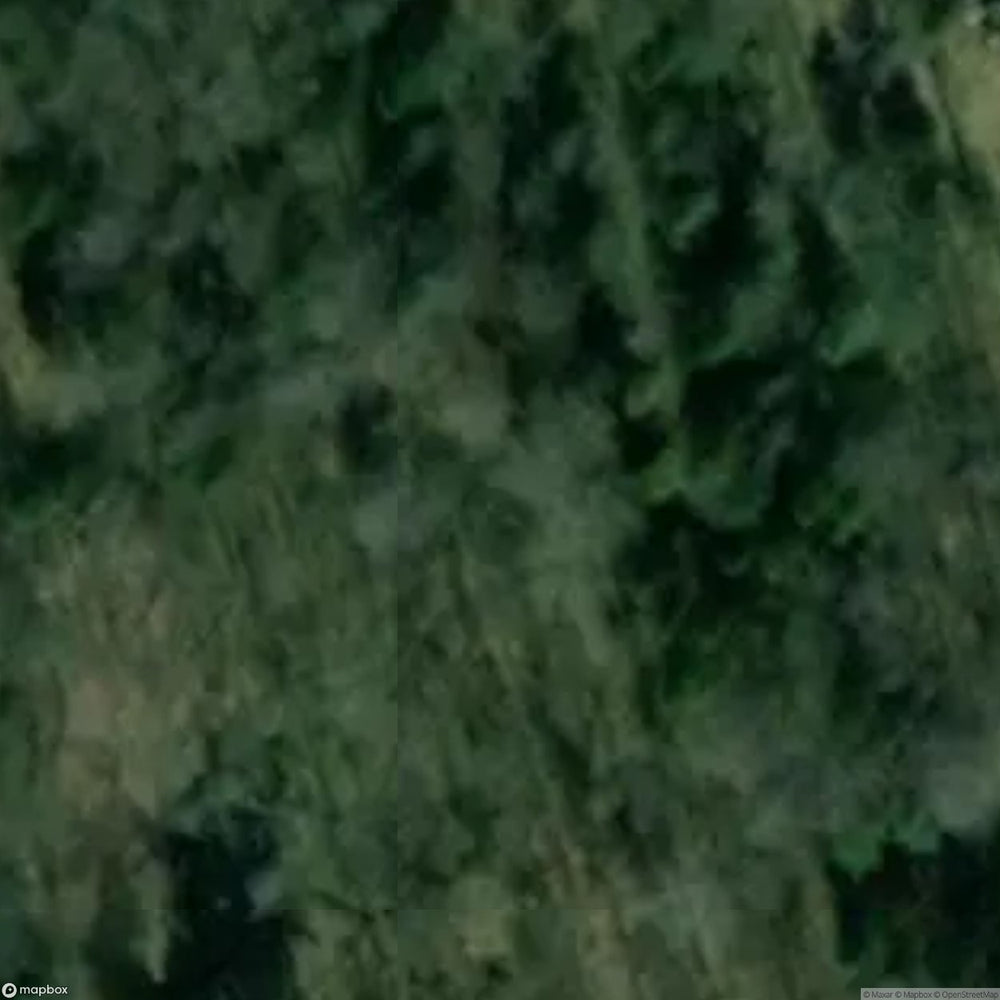 Gier Oz Site Near Ketrzyn [POL] #33326