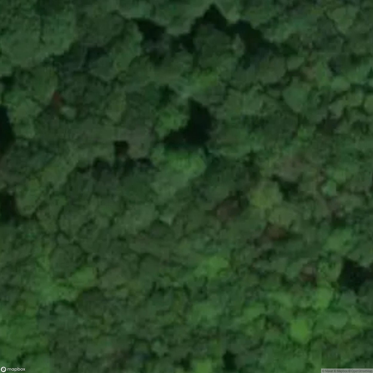 Landeck Castle Ruins [DEU]