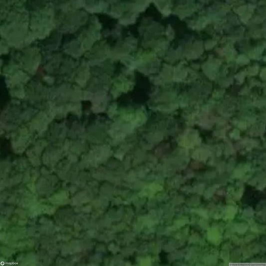 Landeck Castle Ruins [DEU]