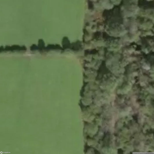 Bridge Cave SOUTH WALES [GBR]