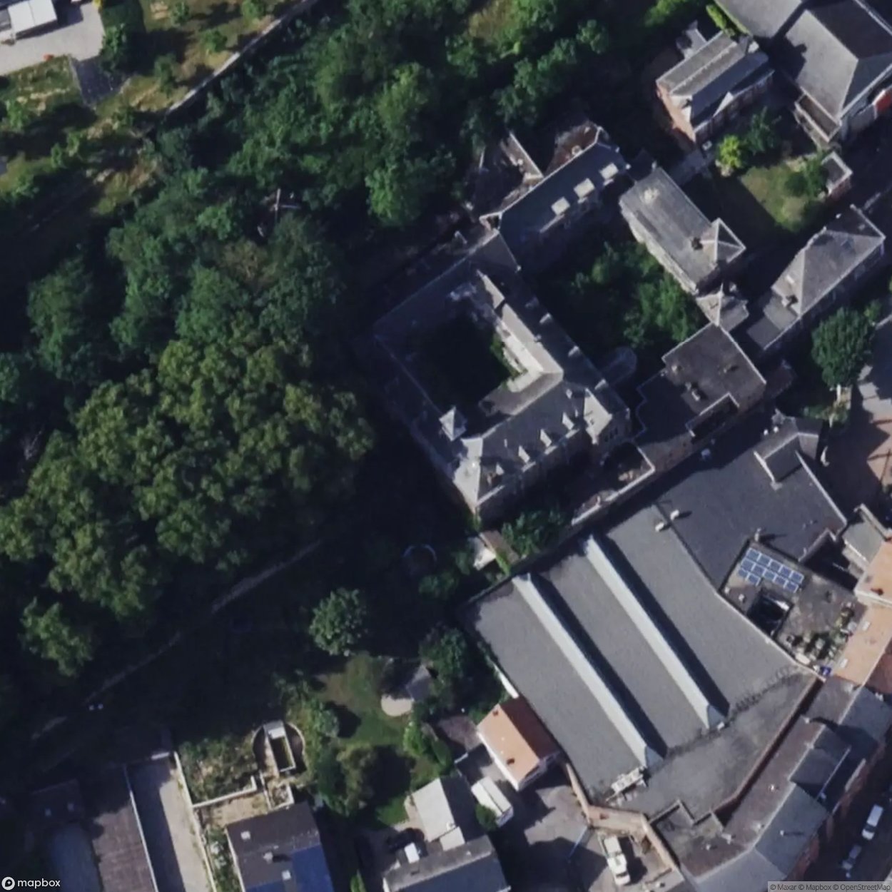 Pritzer Face [BEL] #18693