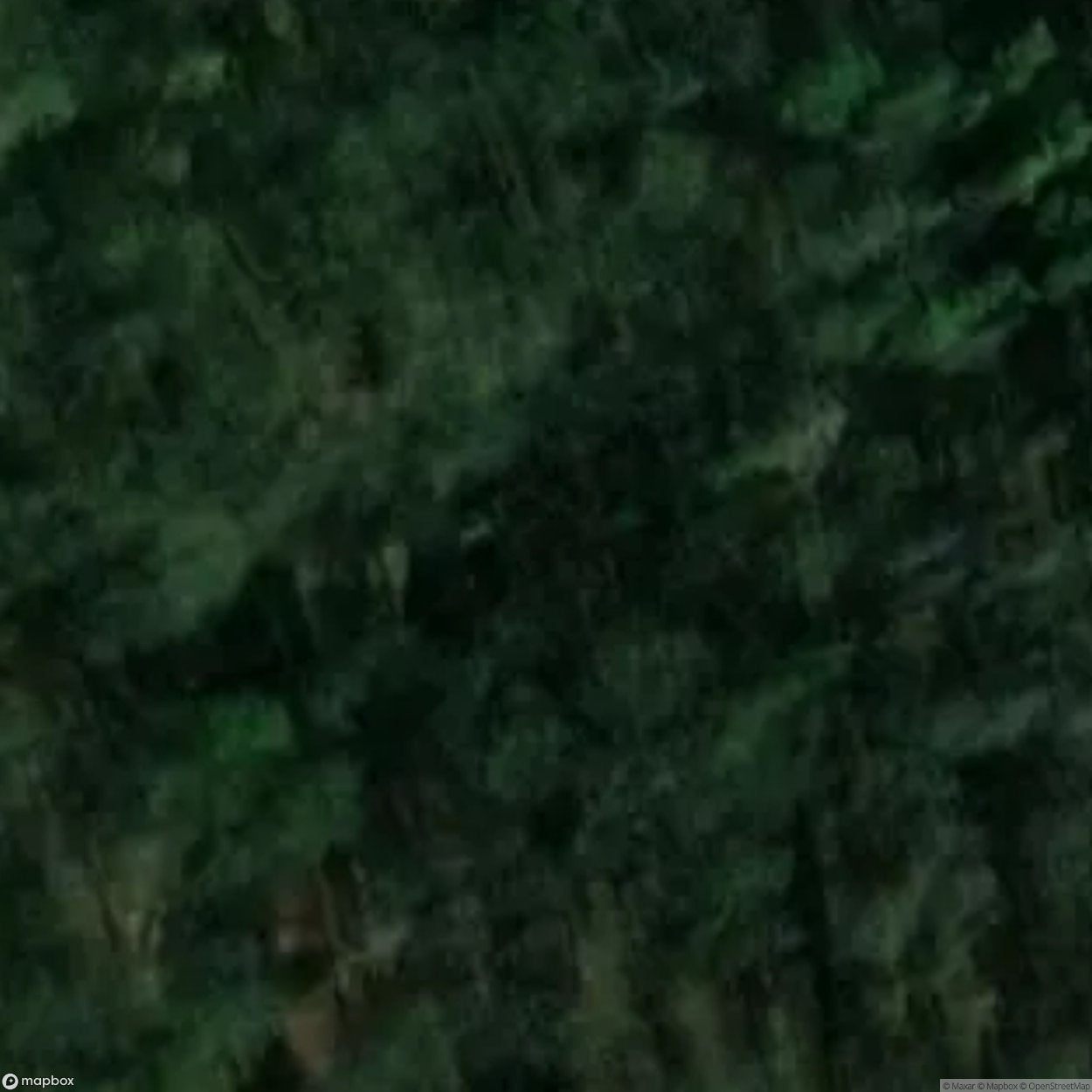 Frieda Tunnel West Portal [DEU] #11184