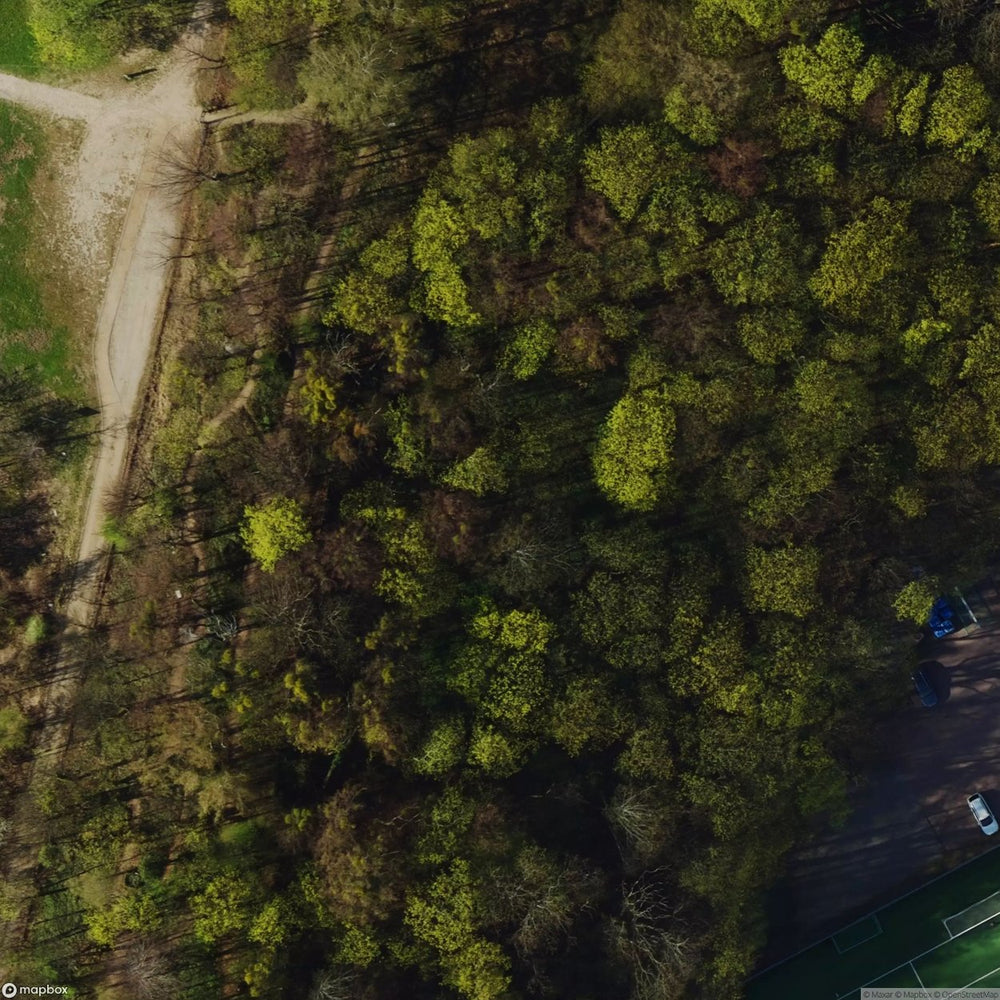 Historic Cemetery Gdansk Wrzeszcz [POL] #35857