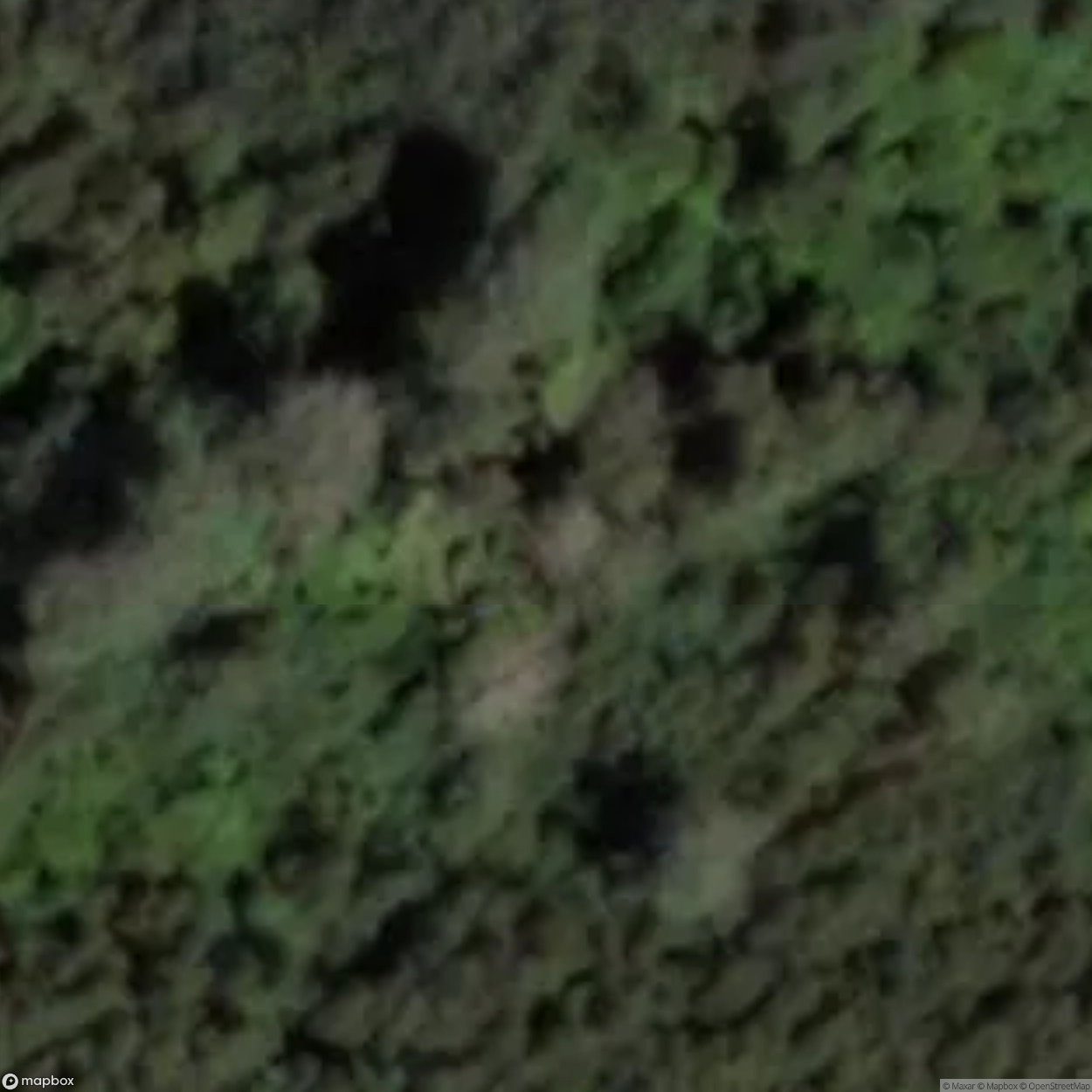 Ennuksemäe Forest Brother Bunker [EST]