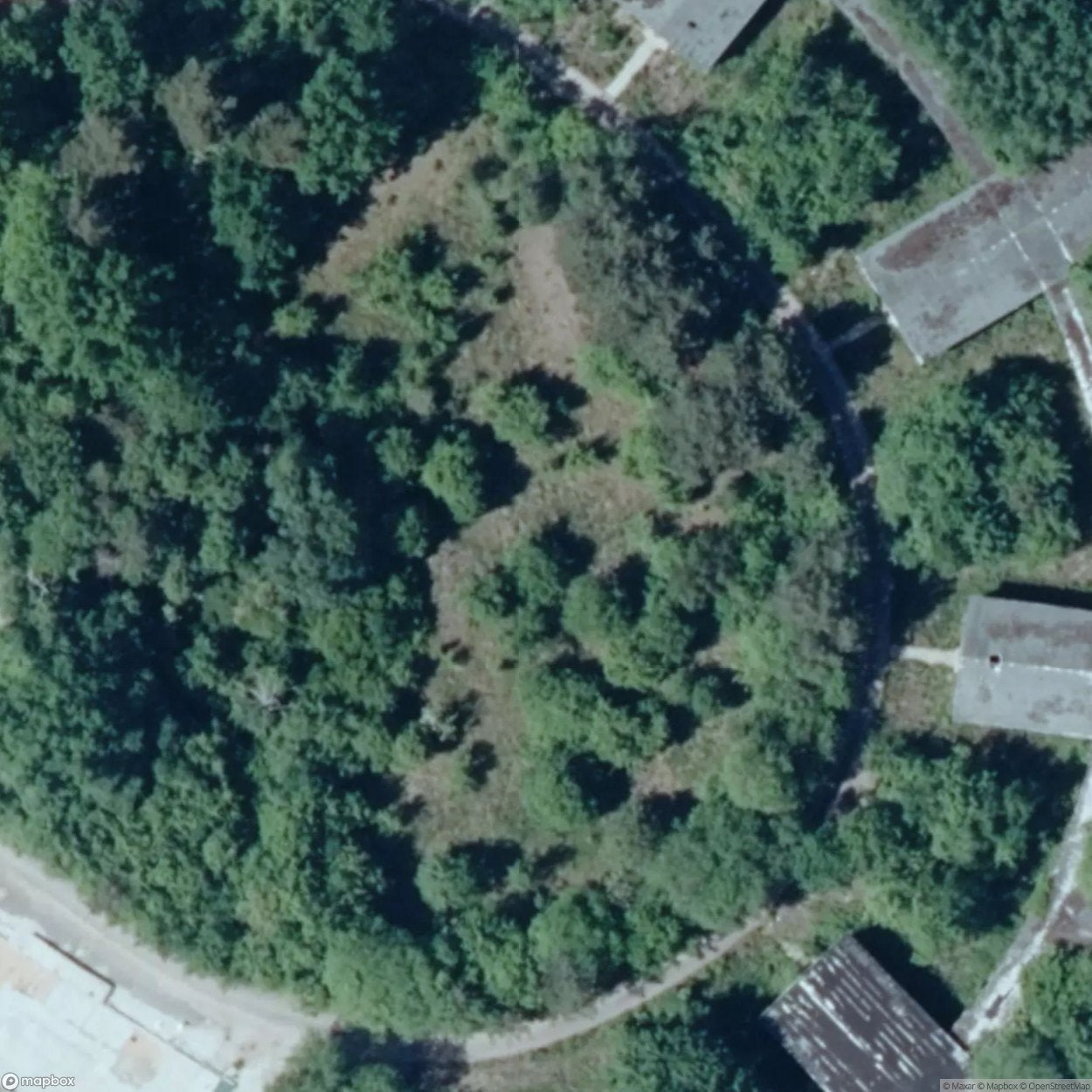 Forest Hospital [DEU] #15344