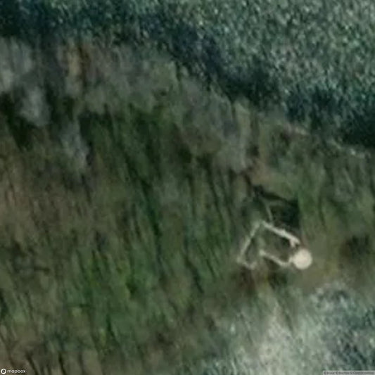 Castle ruins 2 [POL]