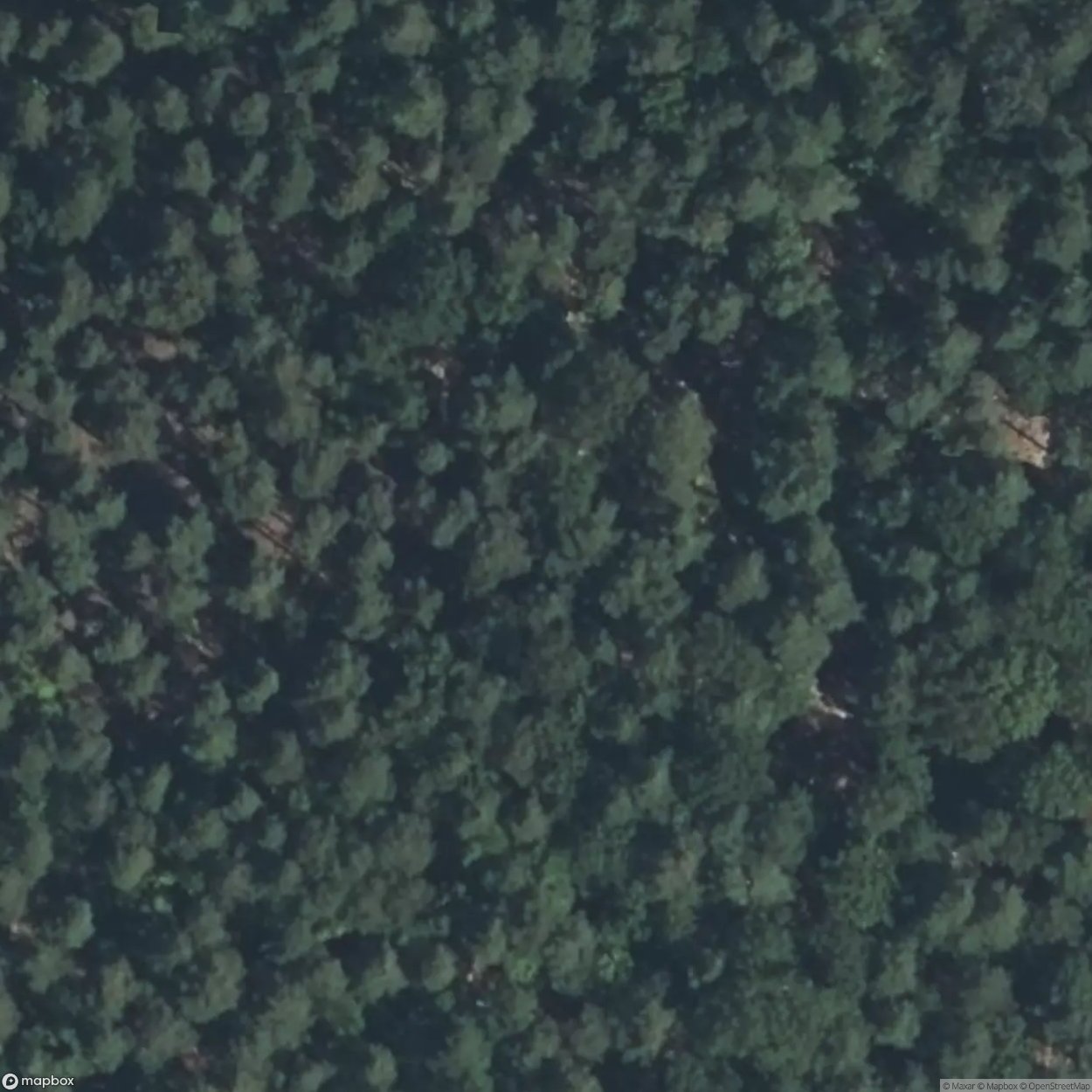 Windstein Artillery Casemate [FRA]