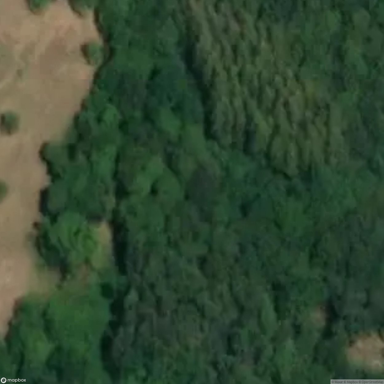 Castelnuovo Castle [ITA]