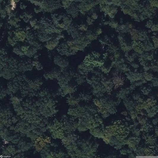 Construction Trailer [DEU]