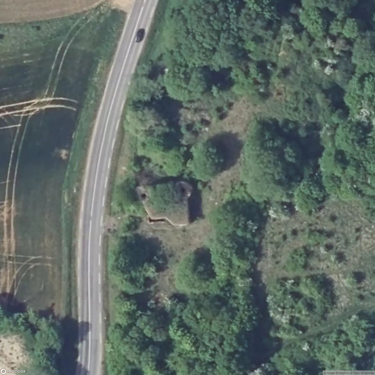Maginot Line Plant [FRA] #06659
