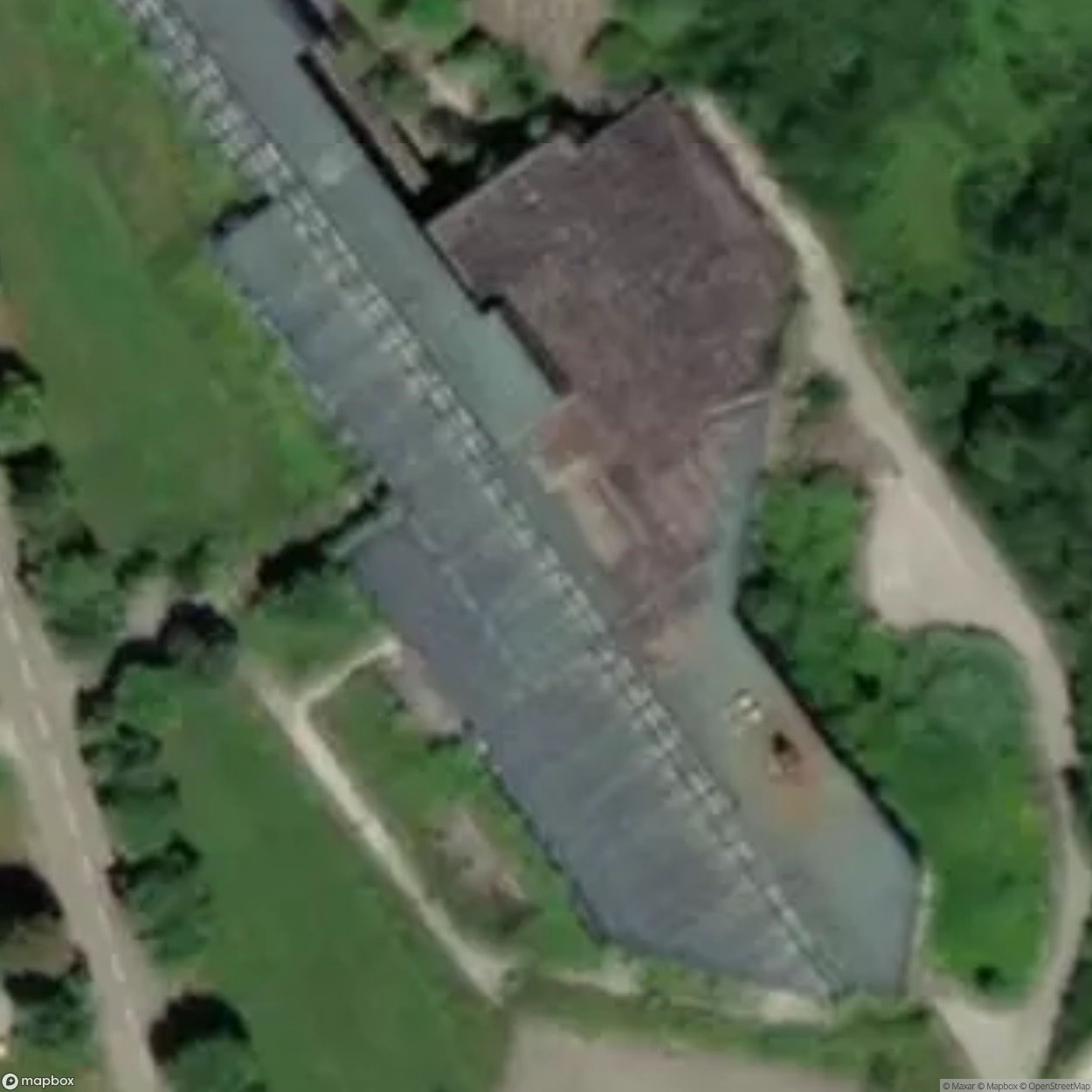 School of Moss [HRV]