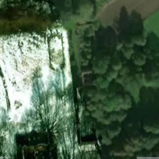 Ruined Palace in ?elazny Most [POL]